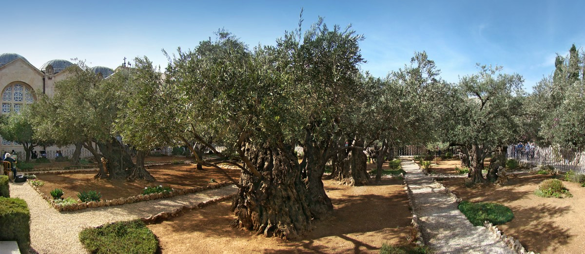 Gethsemane